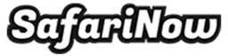 SafariNow